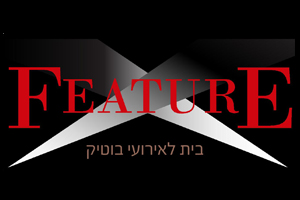 פיצר Feature