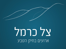 צל כרמל